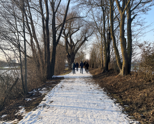 Wanderweg am Ludwigsfelder See Laufgruppe von ATR Software auf einem Weg entlang des Ludwigfelder Baggersees in Neu-Ulm.