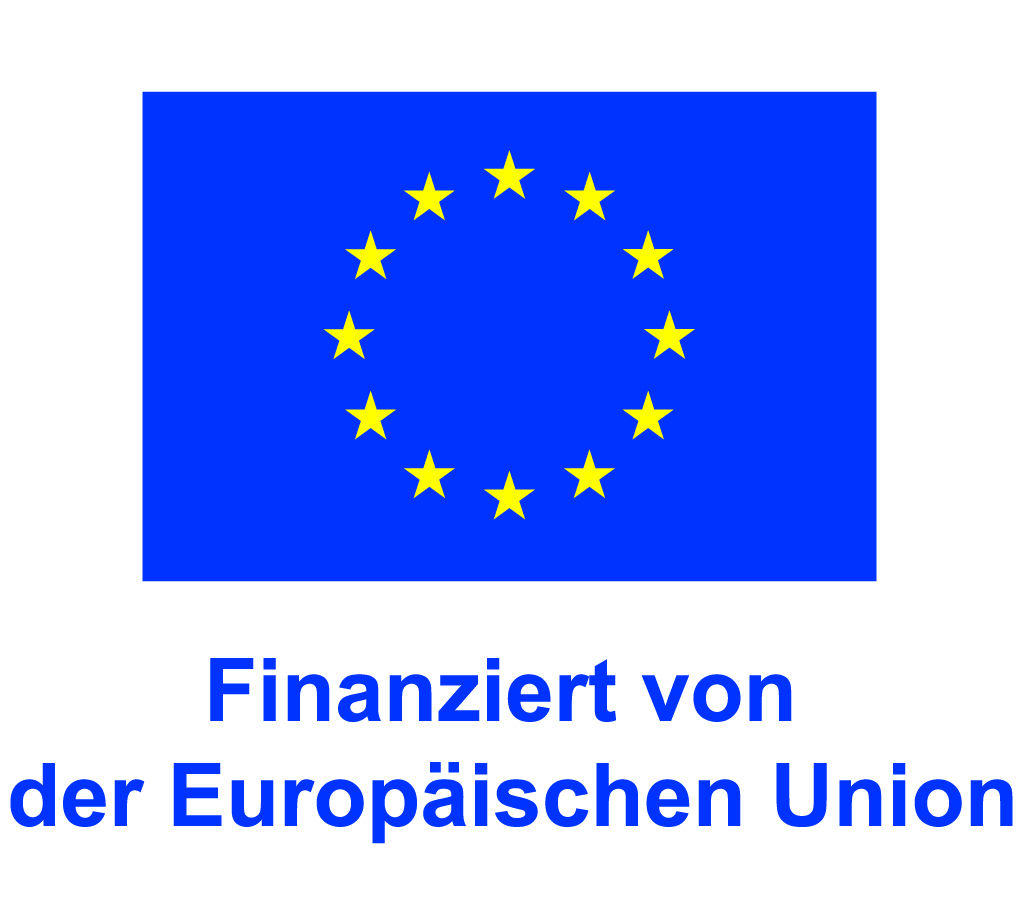 DE V Finanziert von der Europäischen Union_POS Logo der EU, Förderung für das Forschungsprojekt DigiPrüf